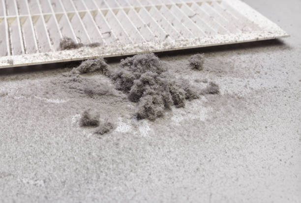 Best Air Duct Cleaning Near Me  in Elmendorf, TX