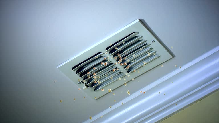 Best Affordable Air Duct Cleaning  in Elmendorf, TX